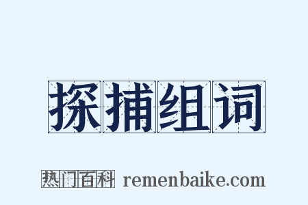 探捕组词是什么意思的图片
